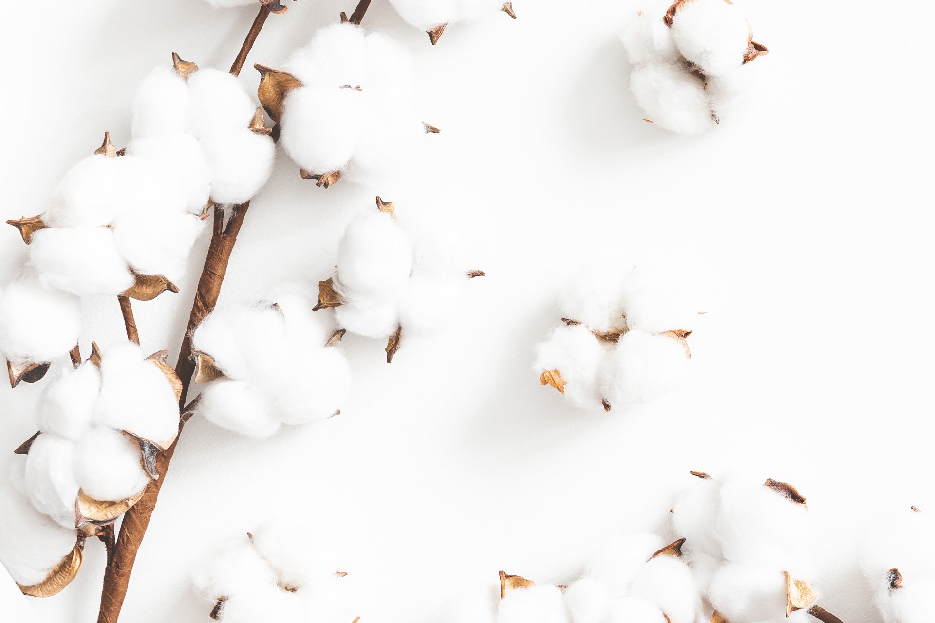 SÜRDÜRÜLEBİLİRLİK