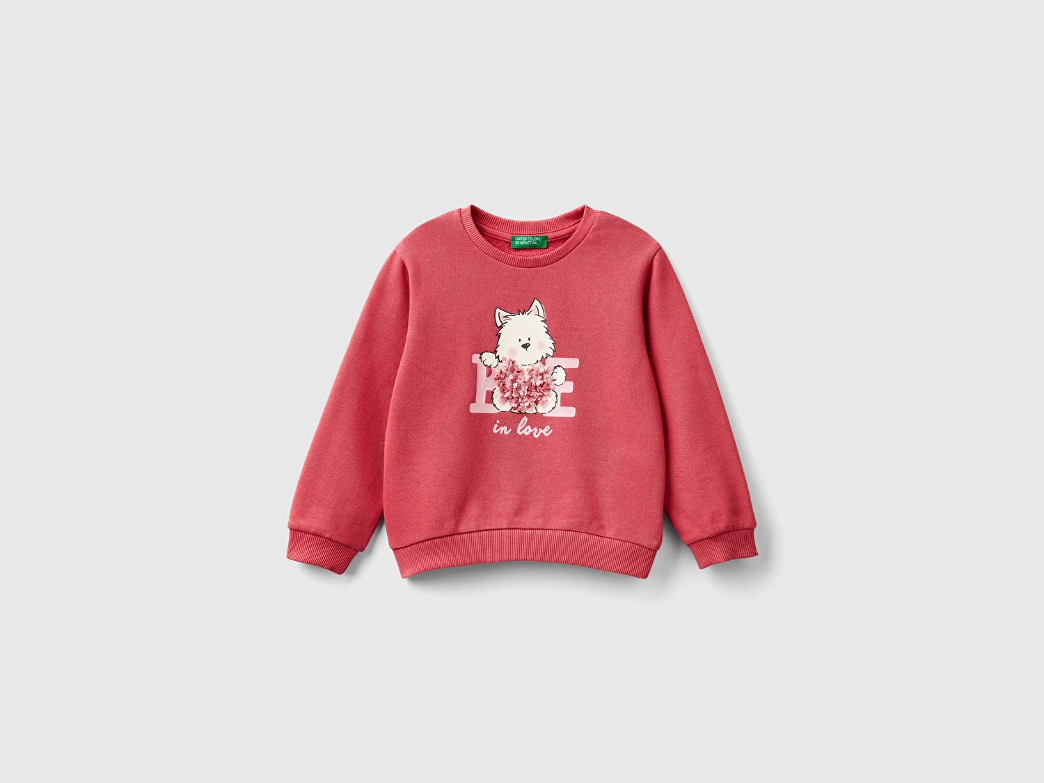 Benetton Kız Çocuk Gül Kurusu Önü İşlemeli Ribana Detaylı Normal Kesim Bisiklet Yaka Sweatshirt