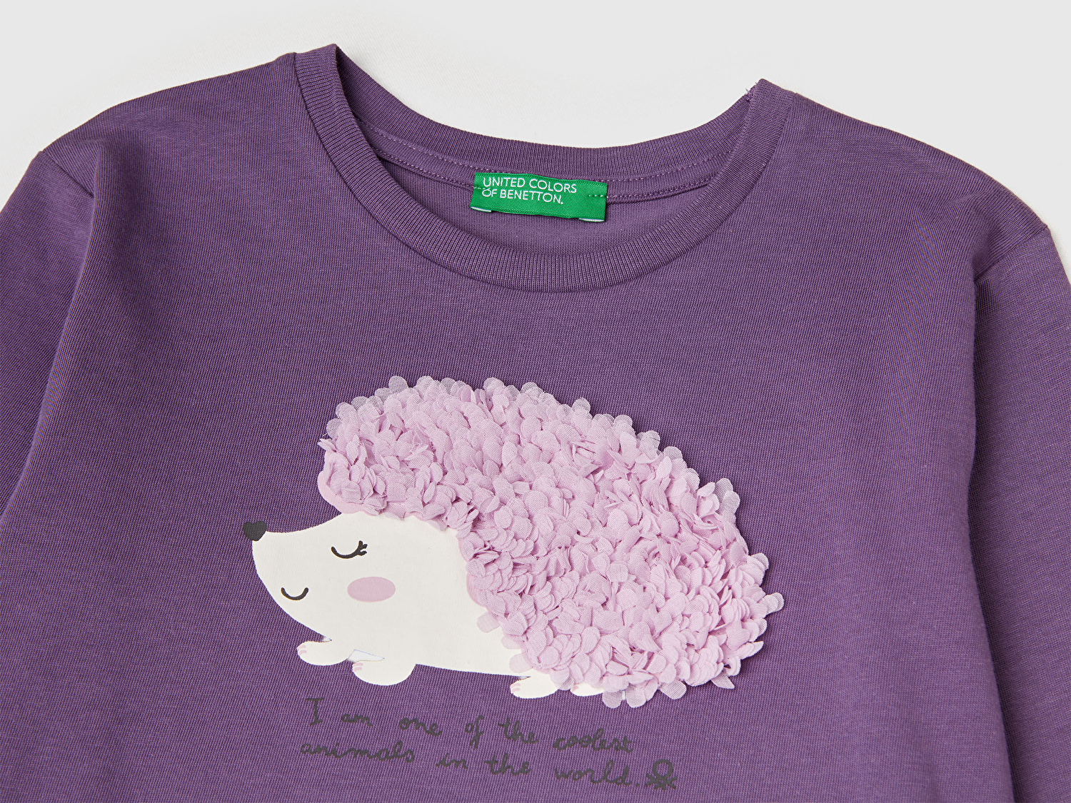 Benetton Kız Bebek Mor Önü Baskılı Ribana Yakalı Uzun Kollu T-shirt