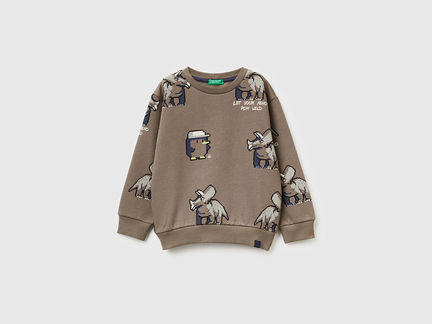 Benetton Erkek Bebek Kahverengi Baskılı Ribanalı Bisiklet Yaka Regular Fit Sweatshirt