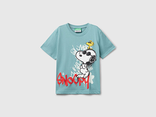 Benetton Erkek Bebek Gri-Yeşil Önü Renkli Peanuts Baskılı Jarse T-shirt